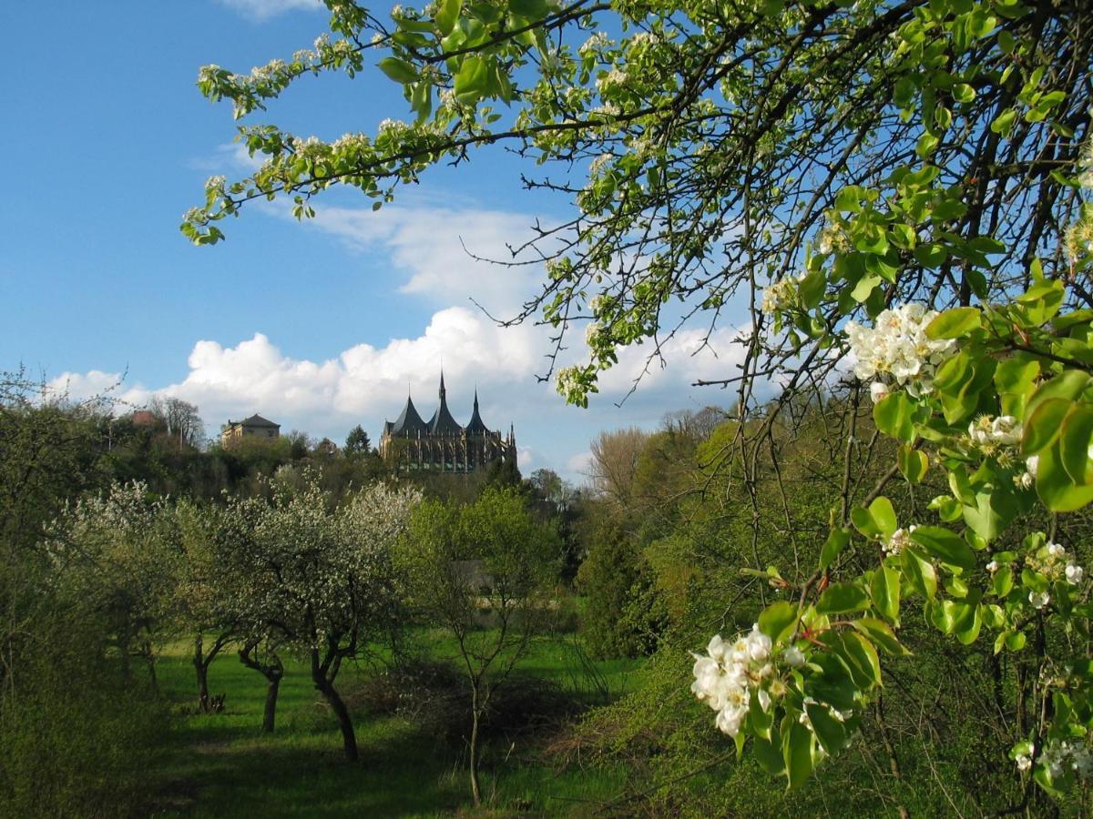Penzion Art kutna Hora Bagian luar foto